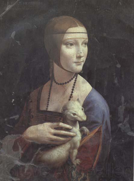 LEONARDO da Vinci Cecila Gallerani (mk45) Spain oil painting art